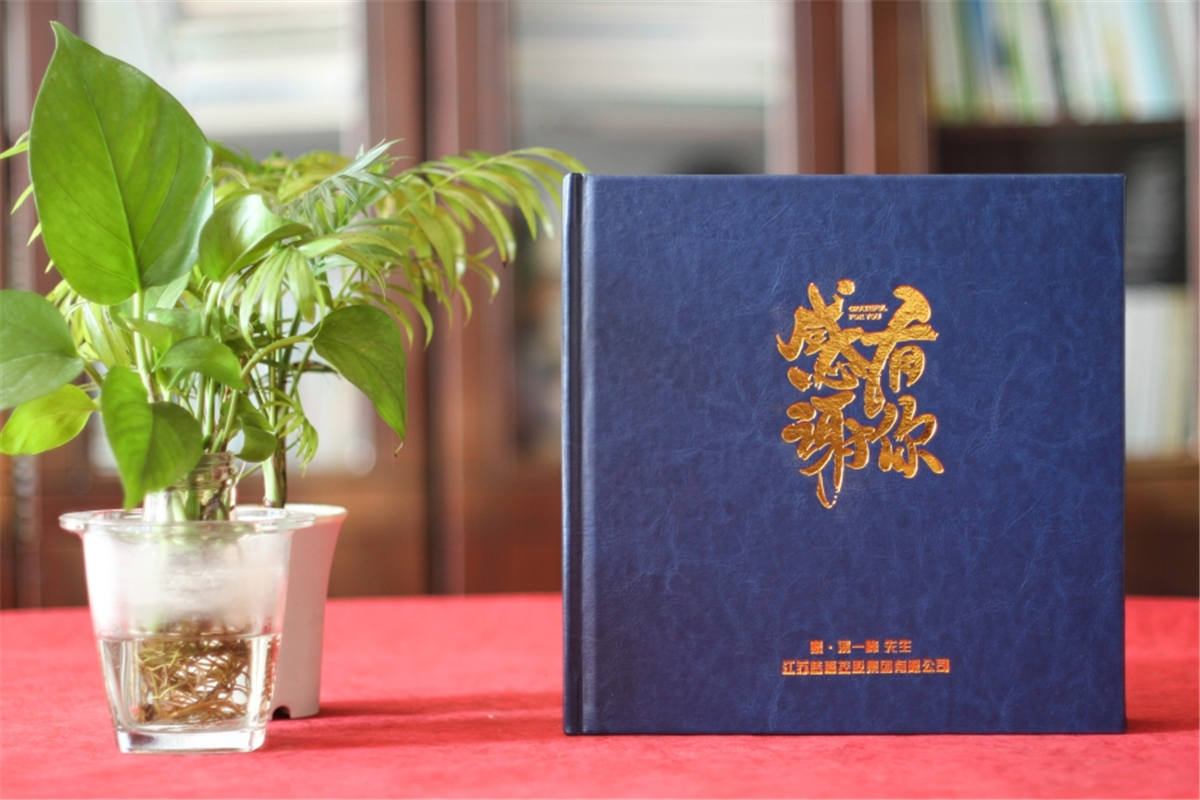領(lǐng)導(dǎo)個(gè)人相冊(cè)制作-鞏固領(lǐng)導(dǎo)與團(tuán)隊(duì)之間的友誼